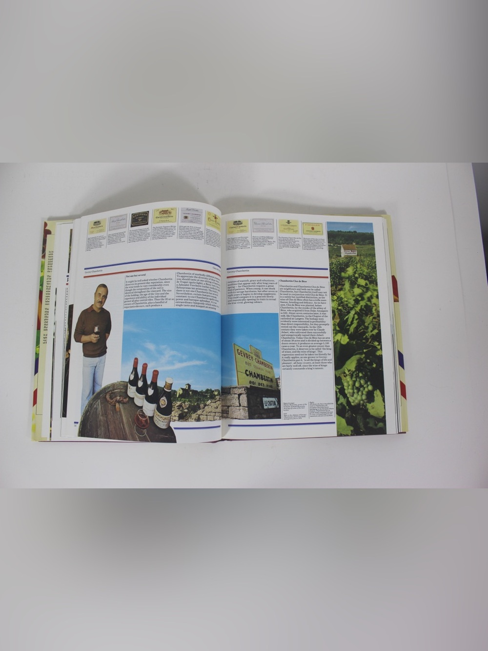 The Great Wines of Burgundy Hard Cover Coffee Table Book with Dust Jacket 1983 - Picture 9 of 12